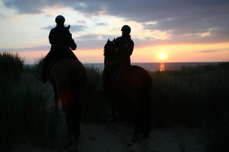 Zonsondergang, duinen en paarden...