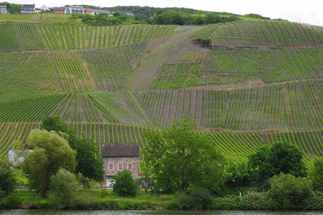 Graach an der Mosel