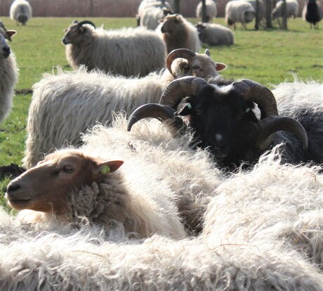 natuur en landschap