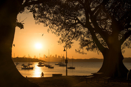 Sydney skyline