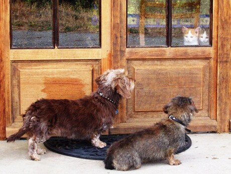 Wie kijkt er nu naar wie?