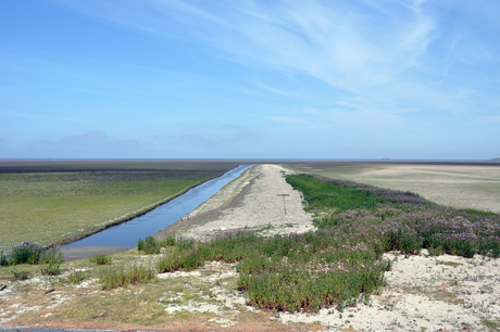 Het Wad