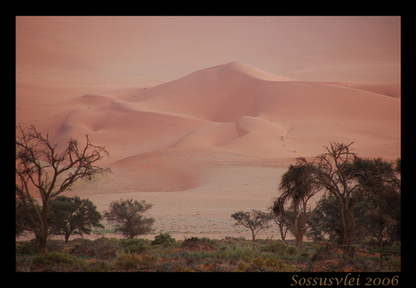 Sossusvlei