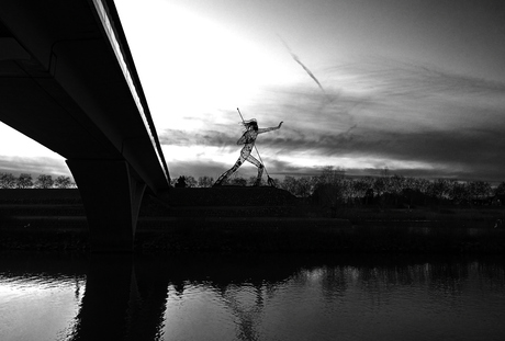 De Vreedzame Krijger 