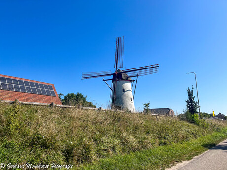 Molen