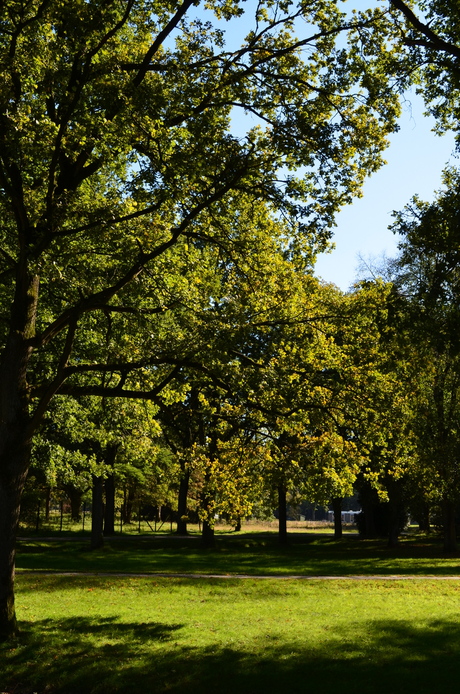 de stille natuur