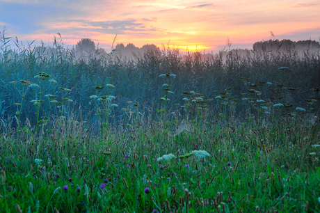 Gewoon noord-holland