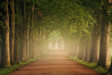 A Summer Morning.