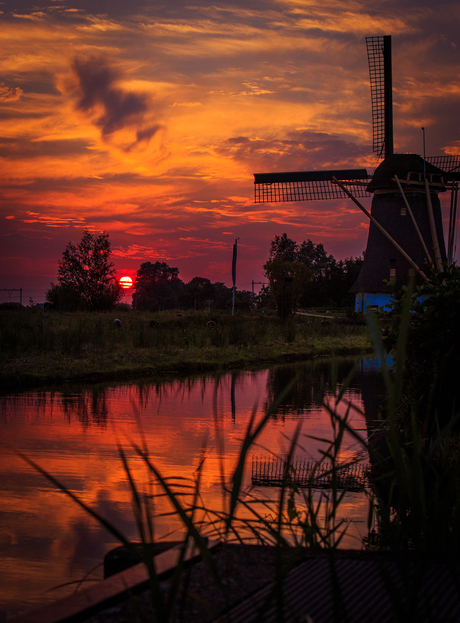 molen-6