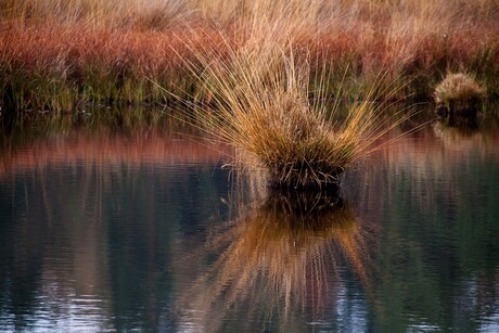 herfst