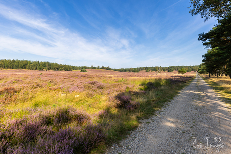 Fietspad langs de heide