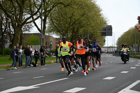 Marathon van Rotterdam