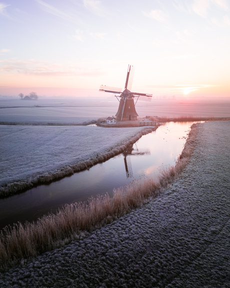 Molen De Victor, Wânswert