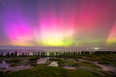 Noorderlicht aan het Wad IX