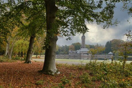 Herfst in park de Hoge Veluwe.2