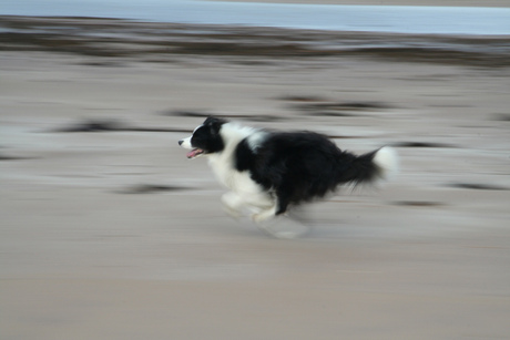 Actie op het strand