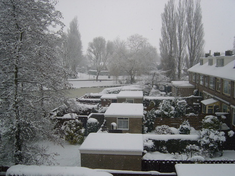 Winter 2005
