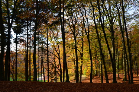 Is de herfst niet prachtig ?