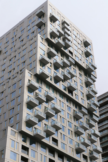 Gebouw rotterdam