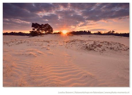 Kootwijkerzand