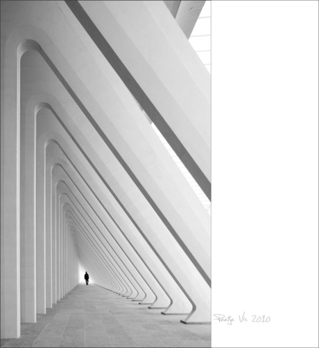 Calatrava's Guillemins 2