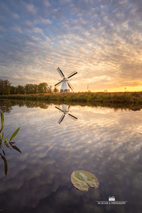 De witte molen met reflectie