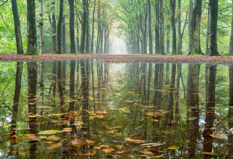 Overgang naar de herfstperiode