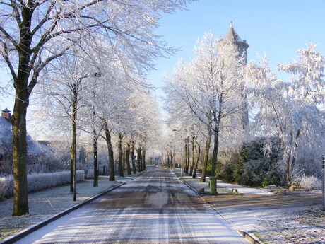 Winter in Tholen