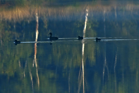 Reflecties