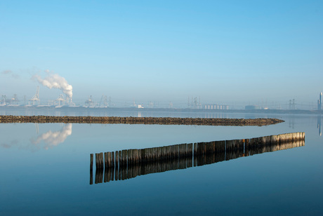 Maasvlakte