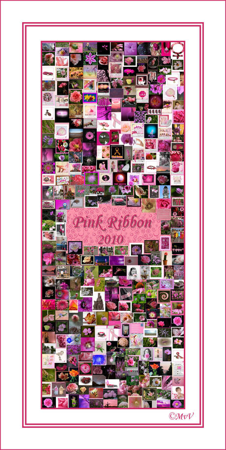 Pink Ribbon Afsluiting