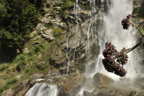 waterval (detail2)