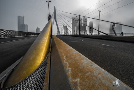 Look up the Erasmusbrug