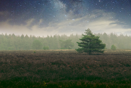 Veluwe