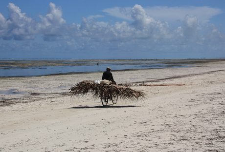het strand op Zanzibar