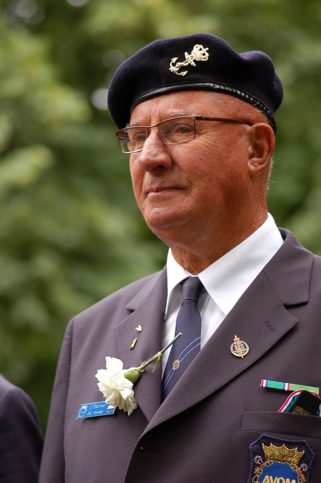 veteranendag 2008