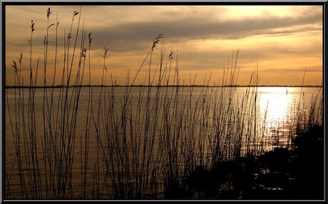 Mooi Lauwersmeer