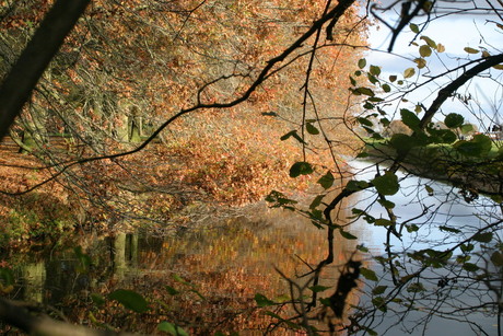 Kanaaldijk Hoogeveen