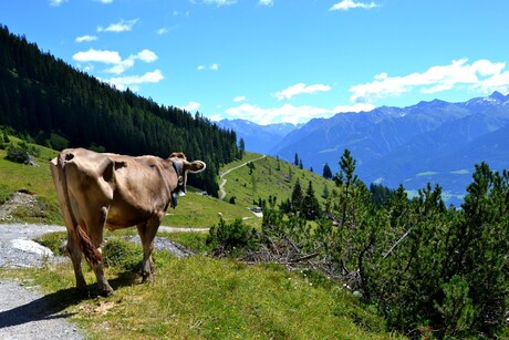 Wandeling Oostenrijk