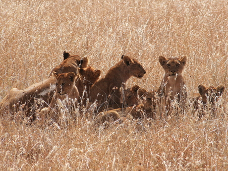 Familie