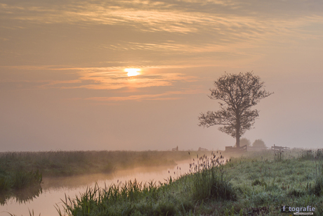 Zonsopkomst in de polder