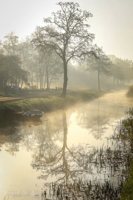 ochtend gloren