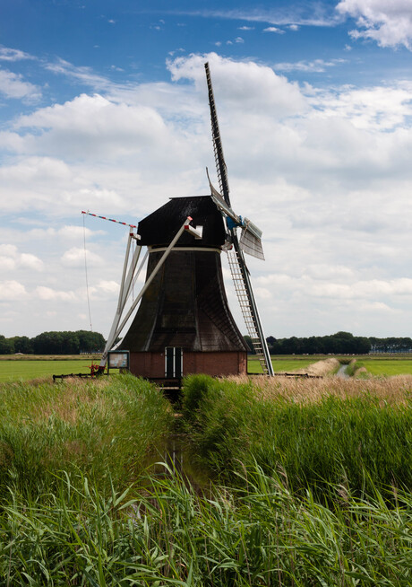 westerse molen