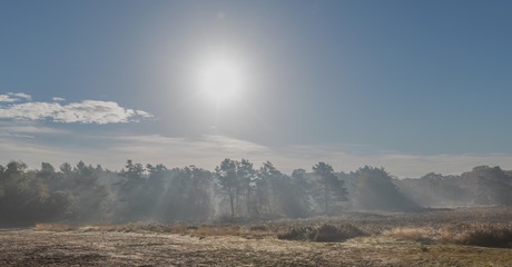 Een mooie ochtend