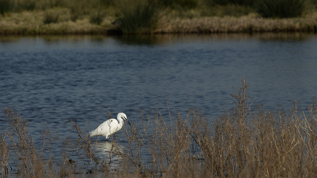 Geduld is een schone zaak!