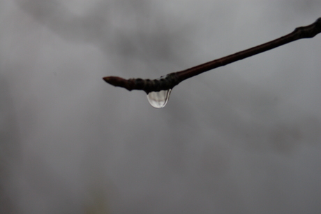 Drup