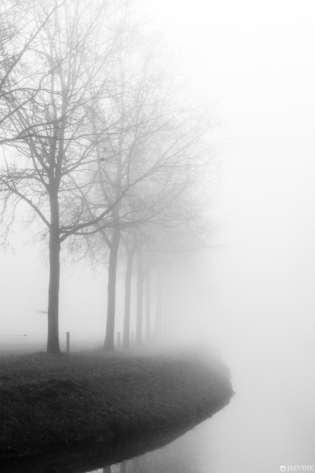 Black, white and fog