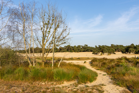 Door en droog