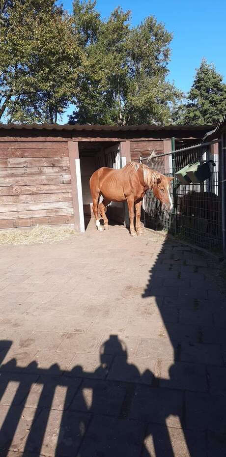 Kinderboerderij 