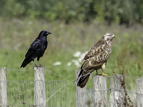 Samen starend in de verte.